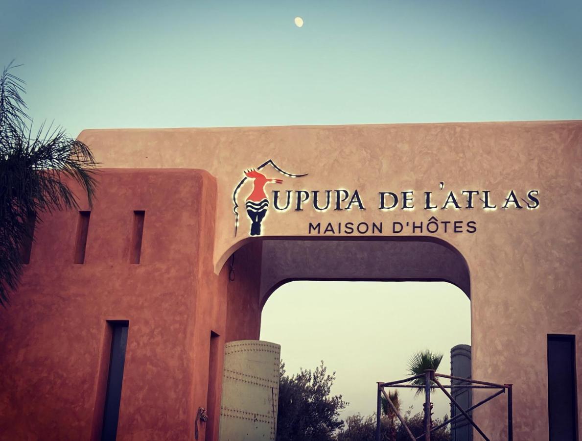 Upupa De L'Atlas Ouled el guerne 외부 사진