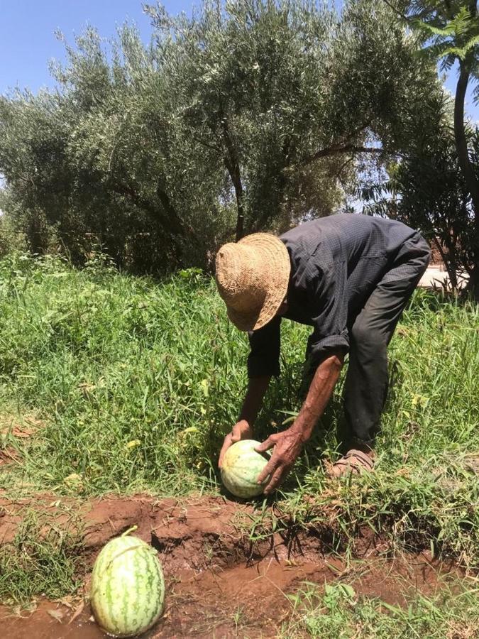 Upupa De L'Atlas Ouled el guerne 외부 사진