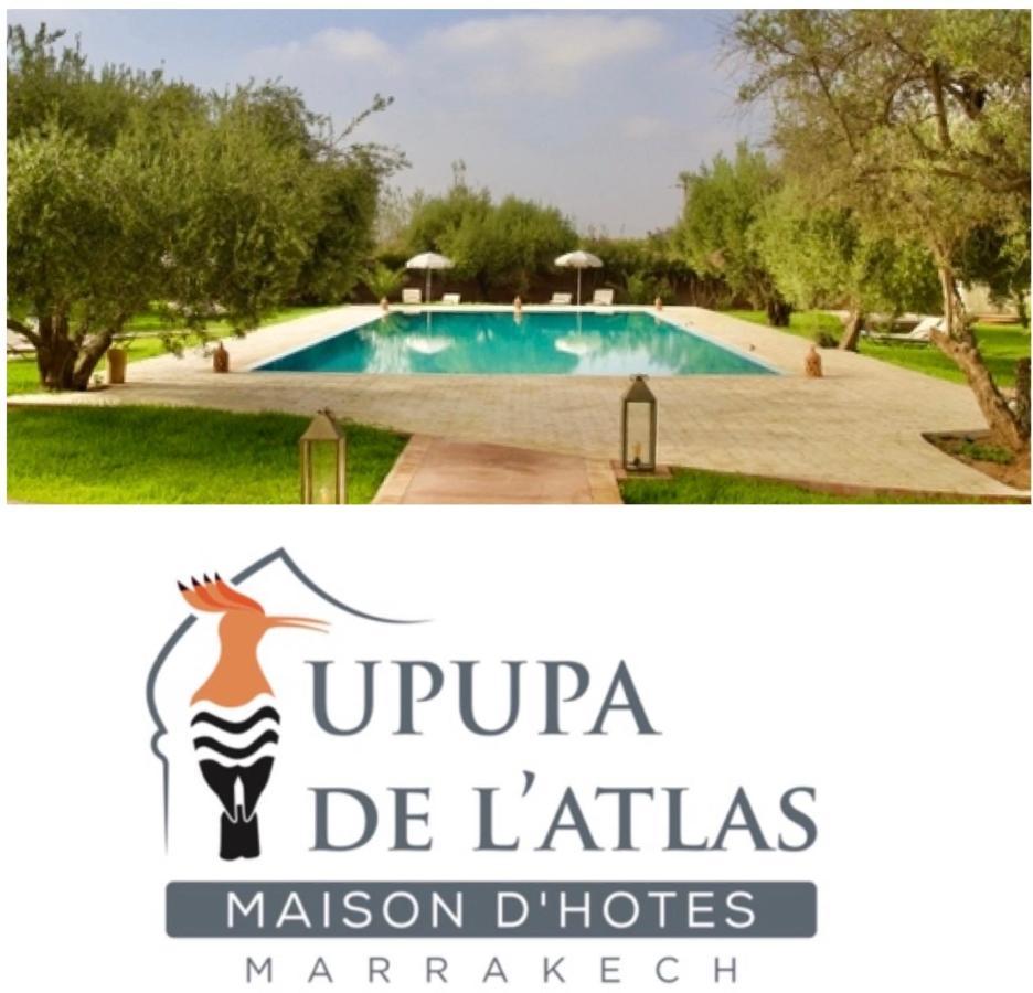 Upupa De L'Atlas Ouled el guerne 외부 사진