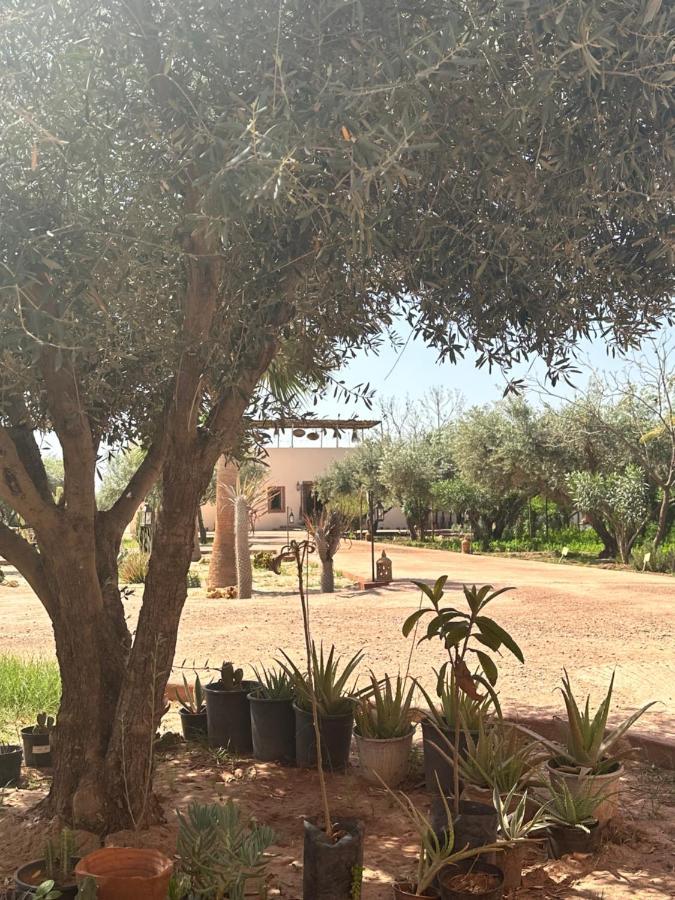 Upupa De L'Atlas Ouled el guerne 외부 사진